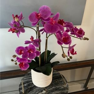 realistic 2ft tall magenta silk orchids in white ceramic pot from Pottery Barn
